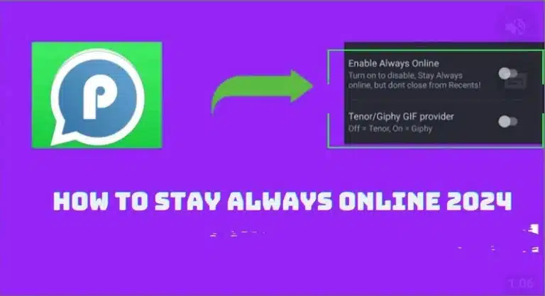 How to Seamlessly Enable The Always Online Status On Blue WhatsApp In 2024?